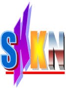 Mẫu báo cáo SKKN đề nghị được bảo lưu